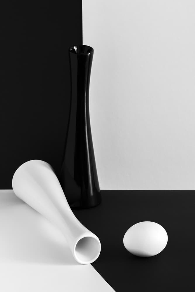 Elegant Contrast Still Life by Peter Hrabinsky — canvas wall art