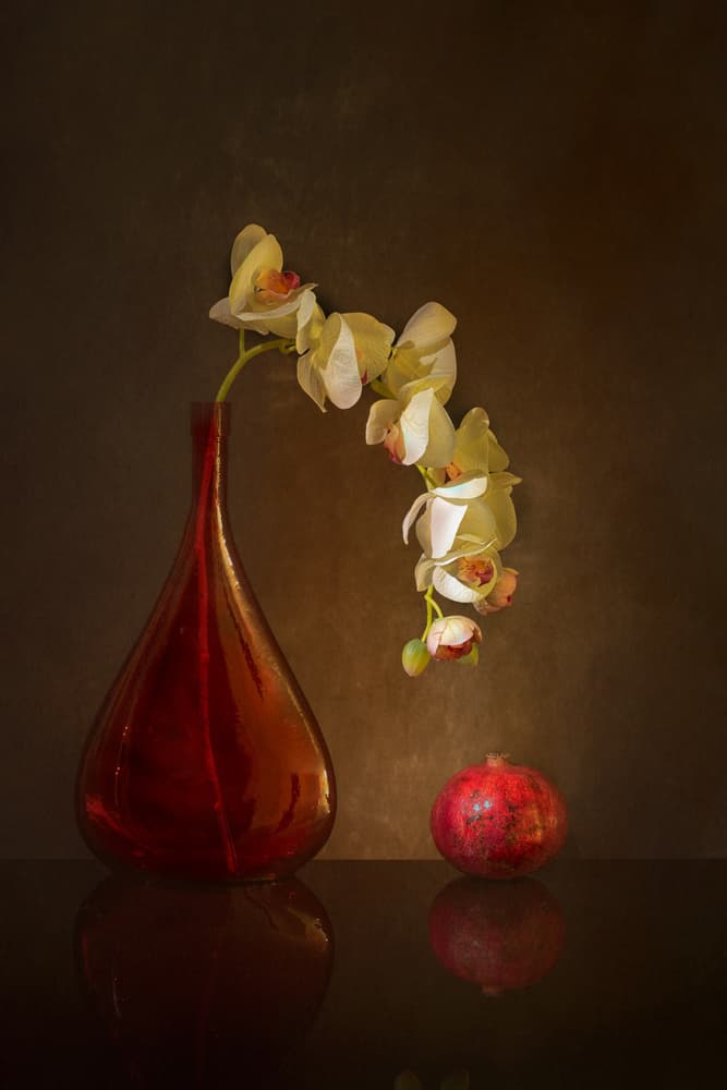 Moody Orchid and Pomegranate by Wendy Xu — canvas wall art