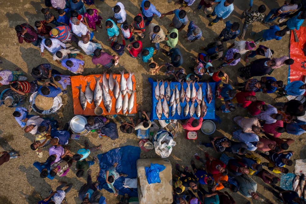 Bustling Fish Market Overhead by Azim Khan Ronnie — canvas wall art