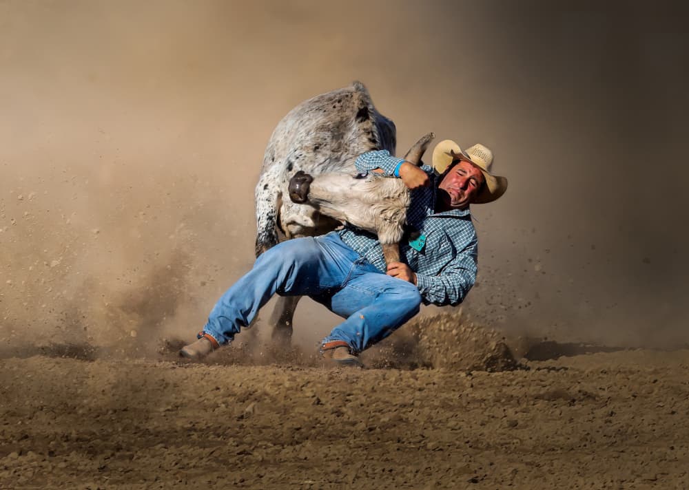 Cowboy Steer Wrestling Action by Irene Wu — canvas wall art