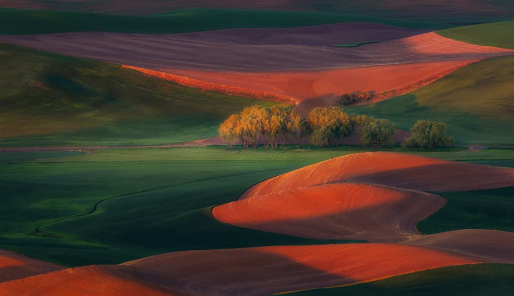 Golden Hour Fields by James Lu — canvas wall art