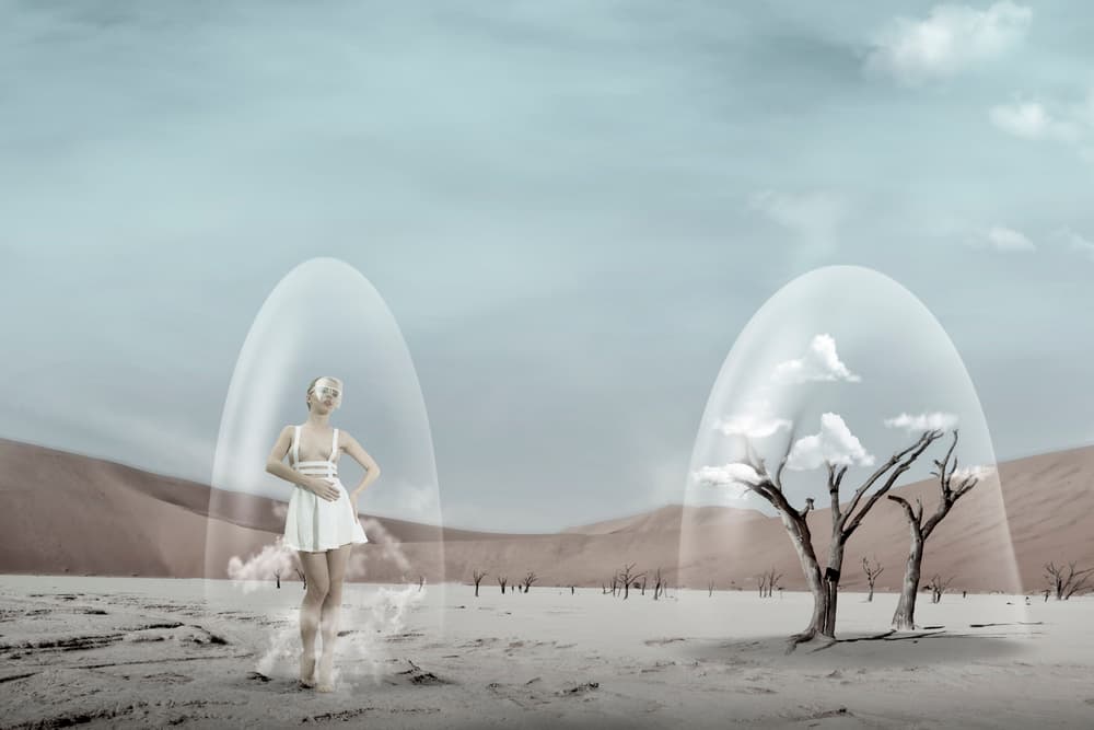 Fragile Desert Dream by Christine von Diepenbroek — canvas wall art