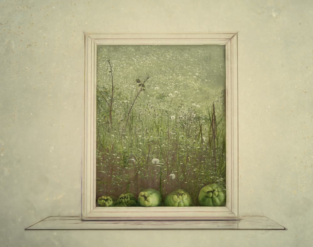 Green Meadow Still Life by Marie-anne Stas — canvas wall art