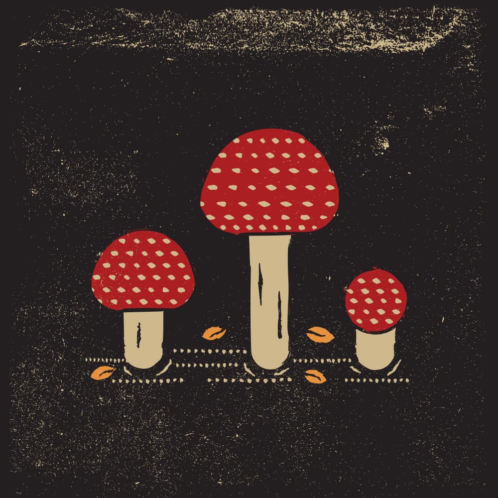 Rustic Red Mushrooms by The Creating Mind — canvas wall art