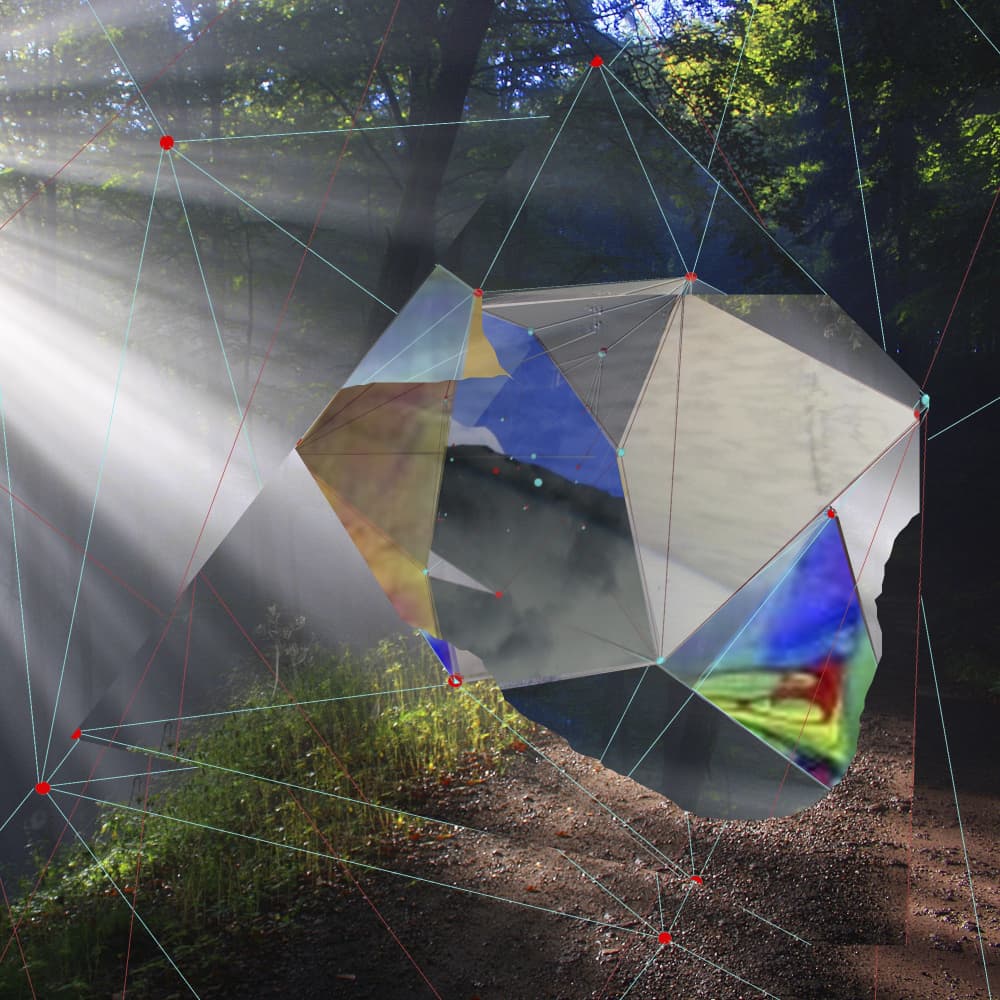 Sunlight Forest Prism by Stefan Fransson — canvas wall art