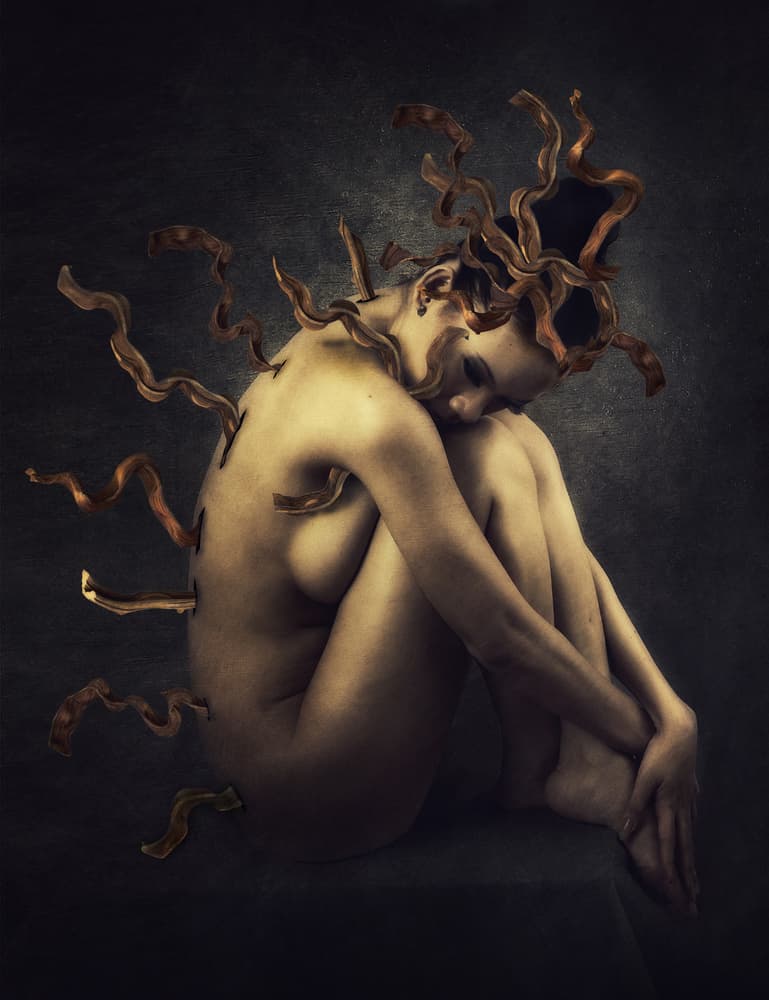 Melancholy Tendril Nude by Hari Sulistiawan — canvas wall art