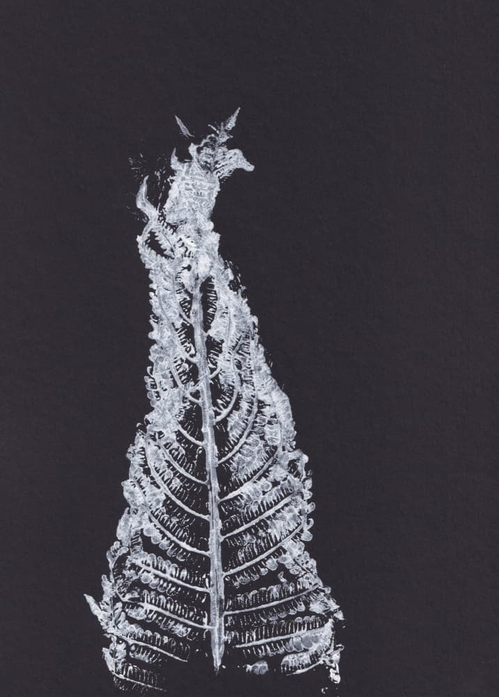 White Fern Silhouette by Maira Ribena — canvas wall art