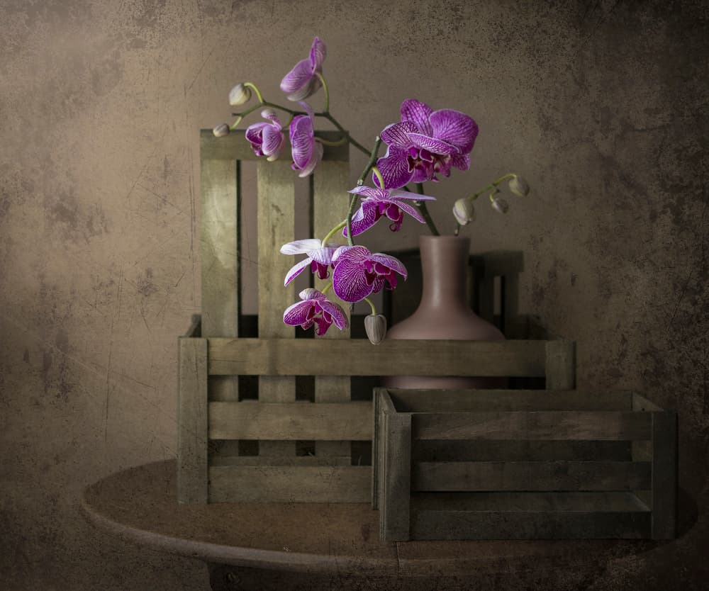 Orchids and Crates by Margareth Perfoncio — canvas wall art