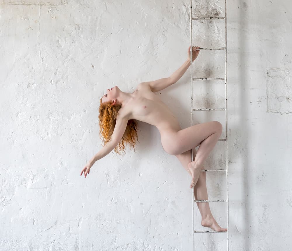 One foot on the Ladder by Hugh Wilkinson — canvas wall art