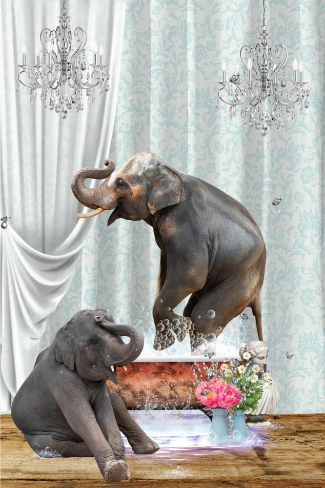 Elephants & Bubbles by Sue Skellern — canvas wall art