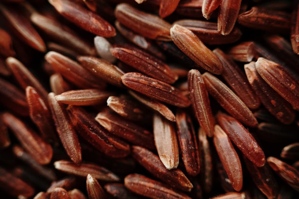 Red Brown Rice Grains by Javier Pardina — canvas wall art