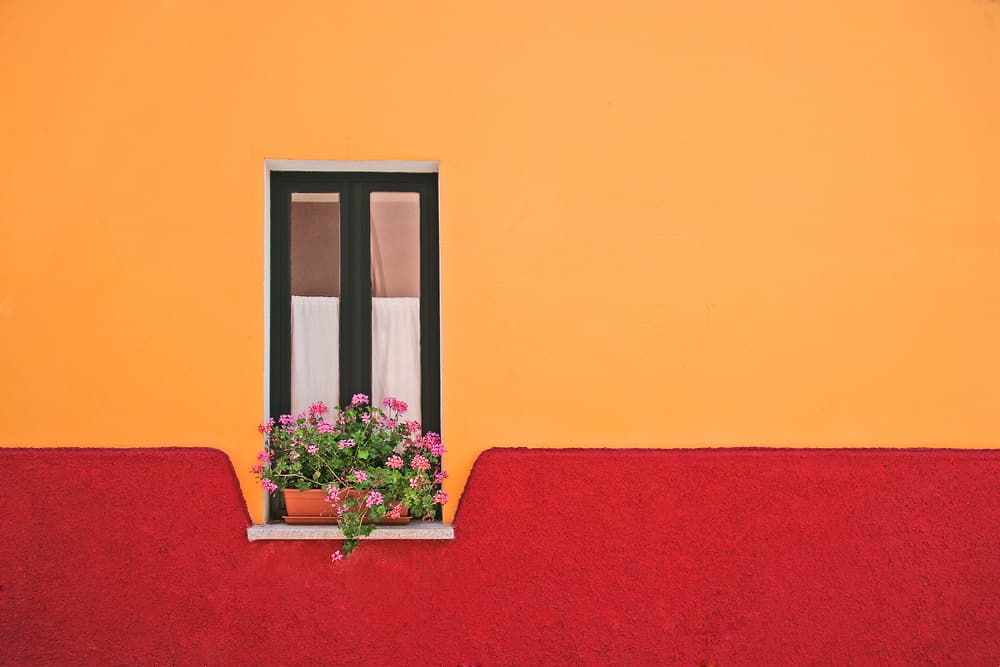 Vibrant Window Geraniums by Rolf Endermann — canvas wall art