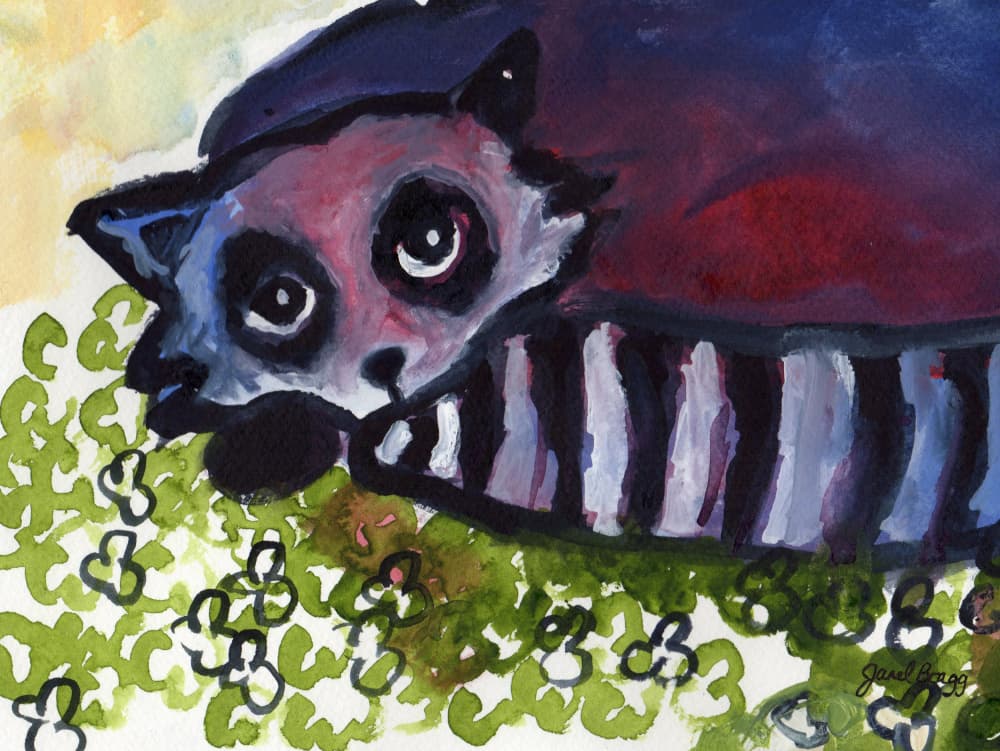 Whimsical Raccoon Nap by Janel Bragg — canvas wall art