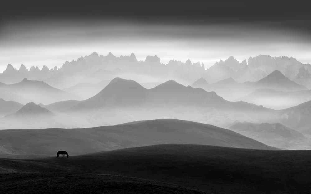 Serene Mountain Horse by Irene Wu — canvas wall art