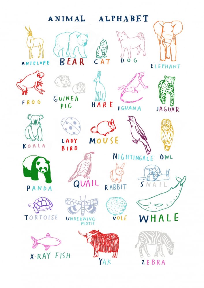 Animal Alphabet Illustrations by Hanna Melin — canvas wall art