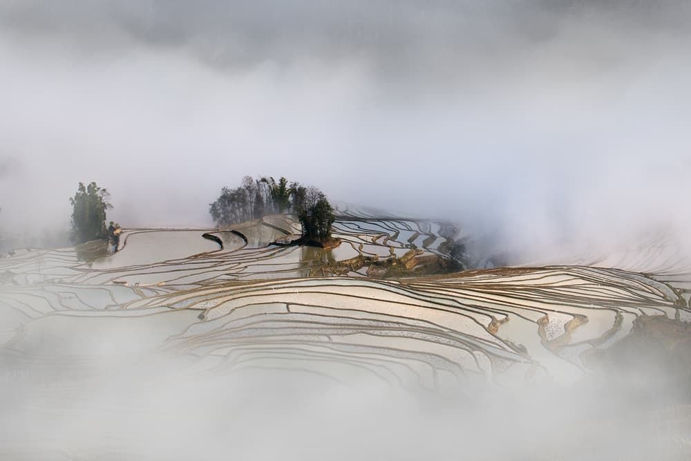Misty Rice Terraces by Shenshen Dou — canvas wall art