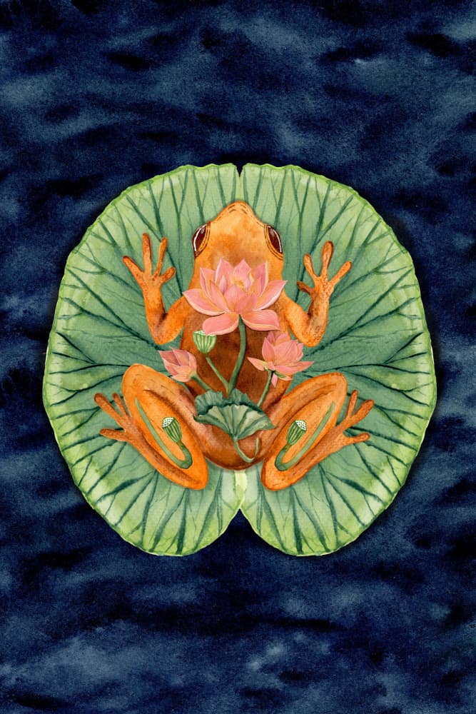 Orange Frog on Lily Pad by Suchi Deb — canvas wall art