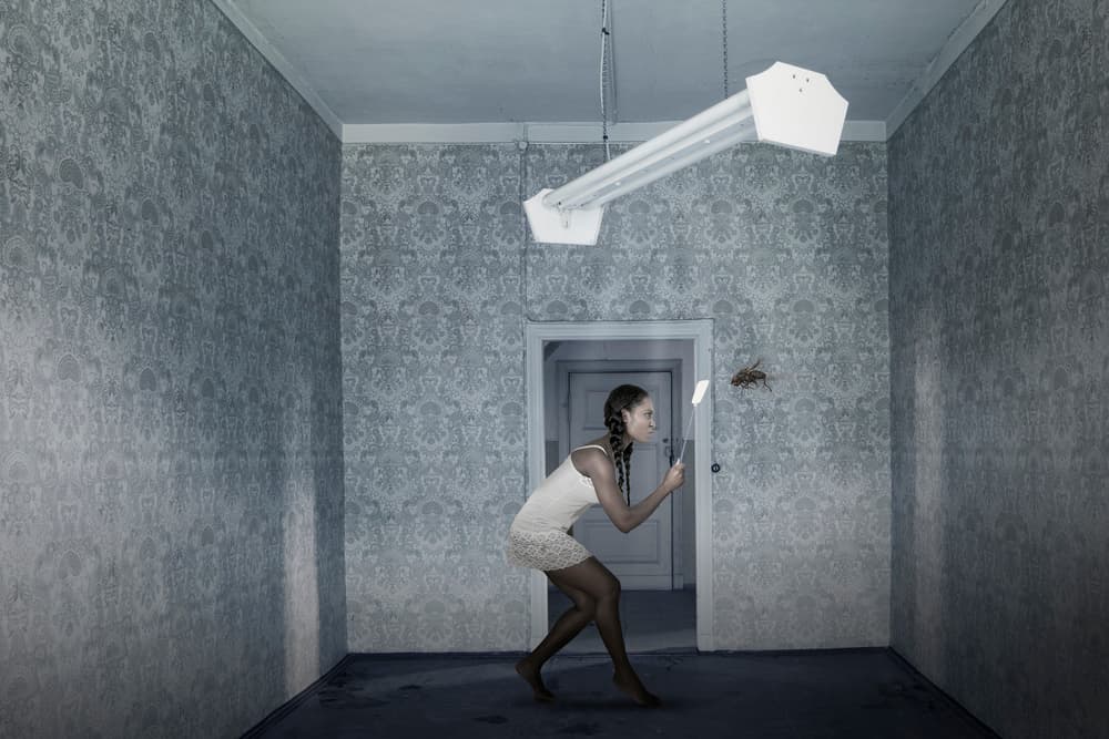Giant Insect Intruder by Christine von Diepenbroek — canvas wall art