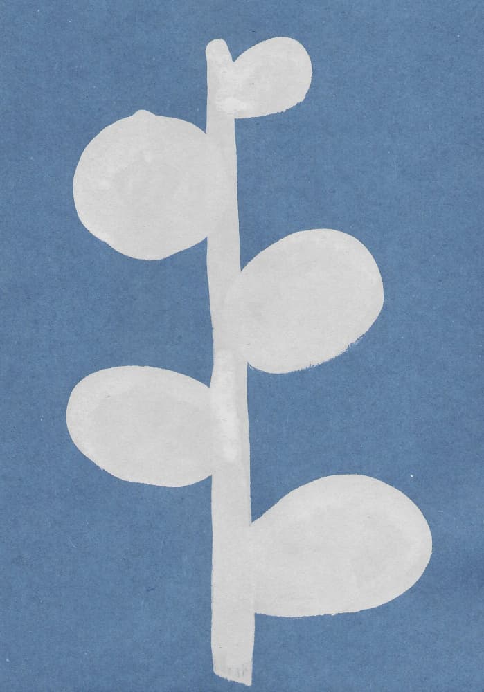 Minimal White Botanical by Santhosh ch — canvas wall art