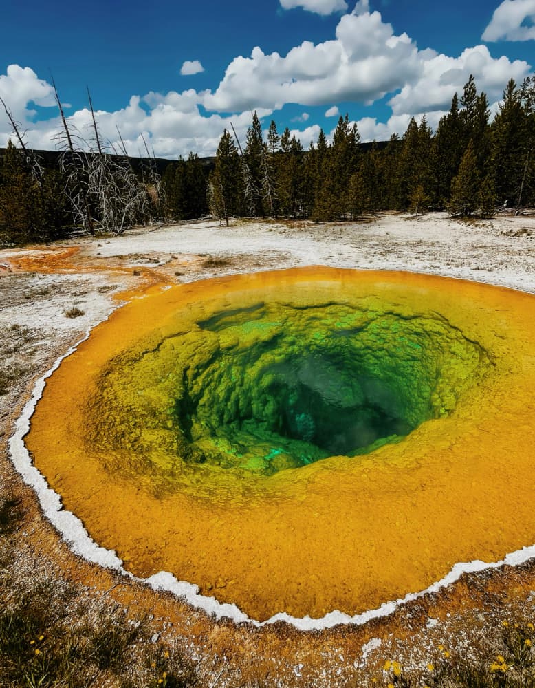 Colorful Yellowstone Hot Spring by Del Mundo Imagery — canvas wall art