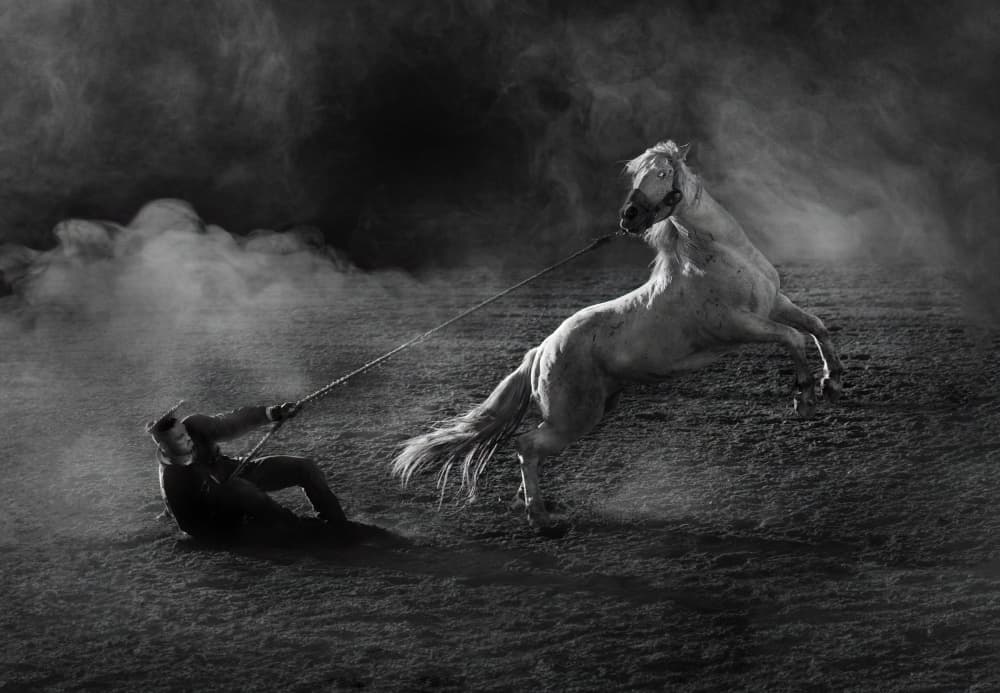 Powerful Horse Taming by James Lu — canvas wall art