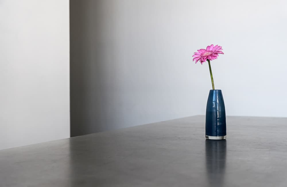 Pink Gerbera Serenity by Lus Joosten — canvas wall art