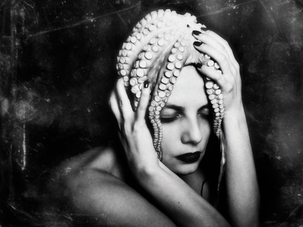 Mysterious Octopus Portrait by Alexandra Fira — canvas wall art