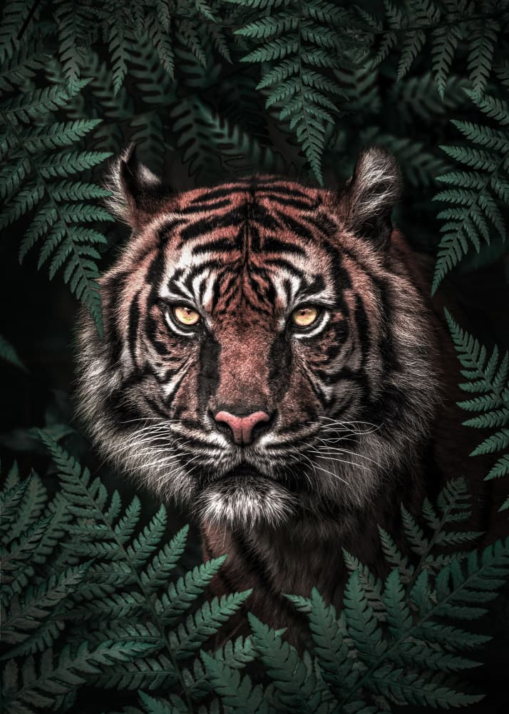 Jungle Tiger Eyes by Ariz Rab — canvas wall art