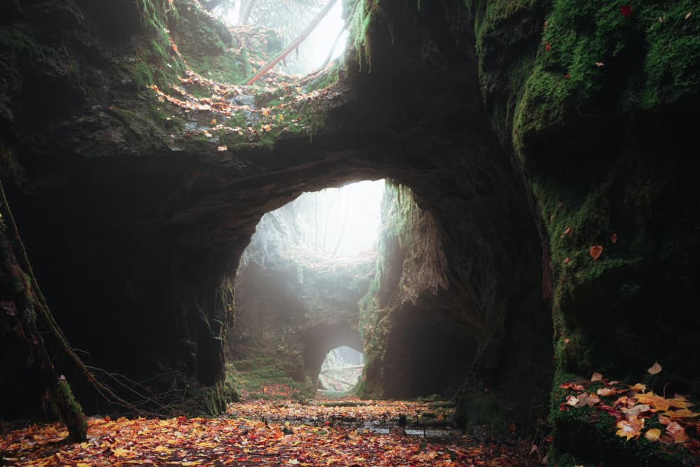 Autumn Cave Passage by Theodor Gerhamn — canvas wall art