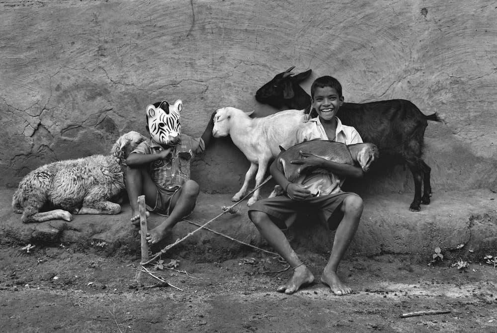 Happy Children Goats by Avishek Das — canvas wall art