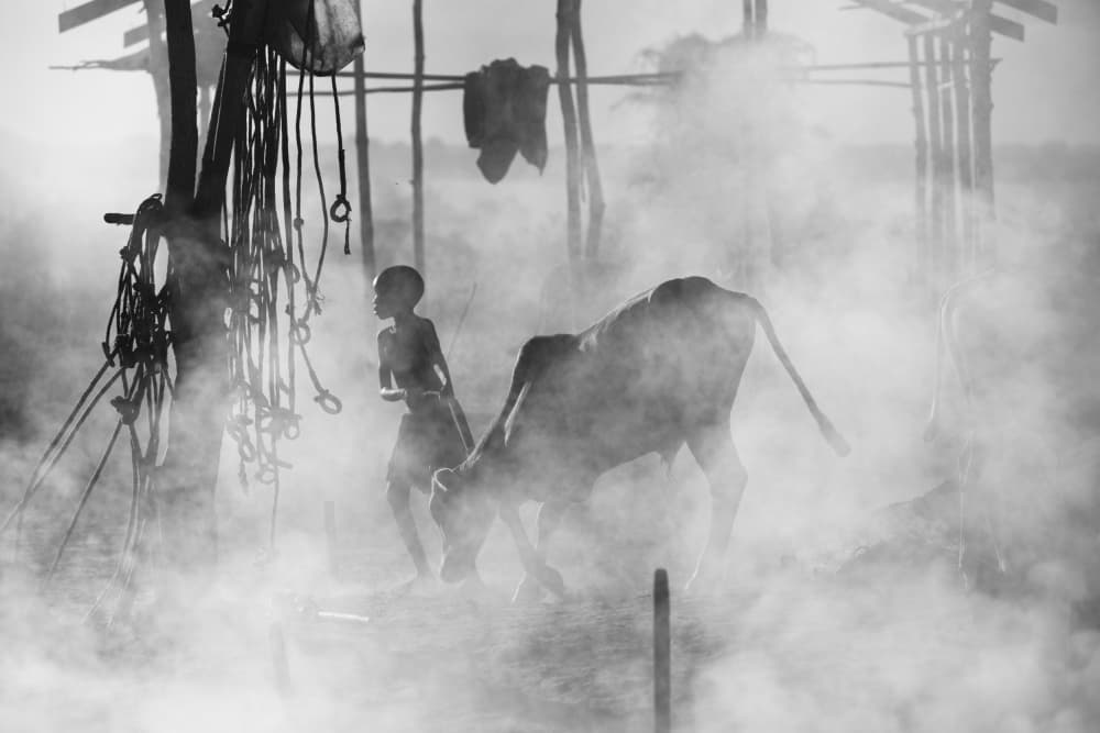 Young Herder in Mist by Svetlin Yosifov — canvas wall art