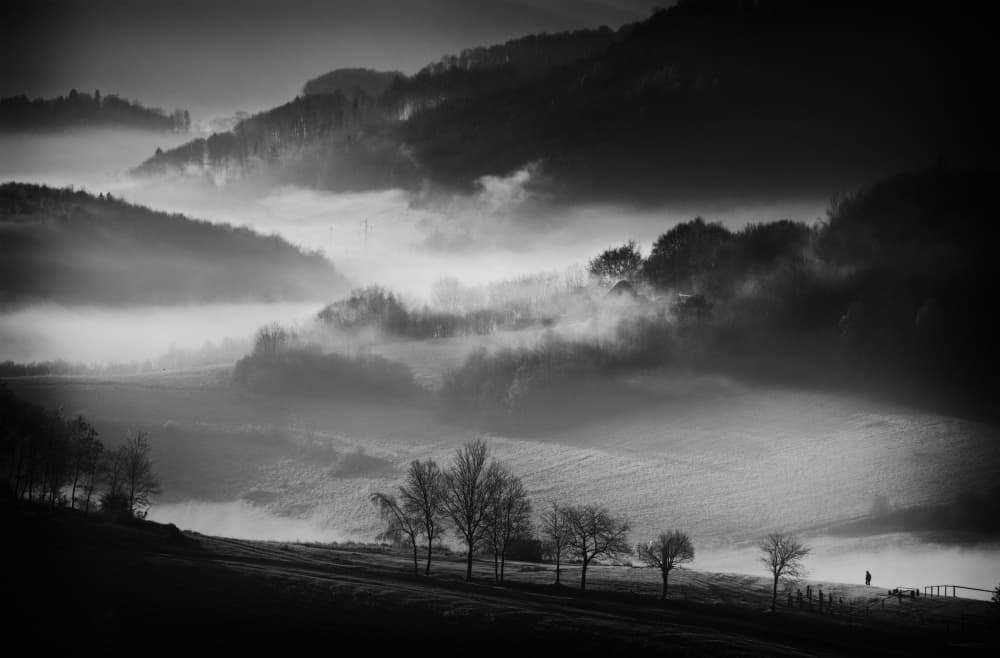 Misty Morning Landscape by Peter Svoboda MQEP — canvas wall art