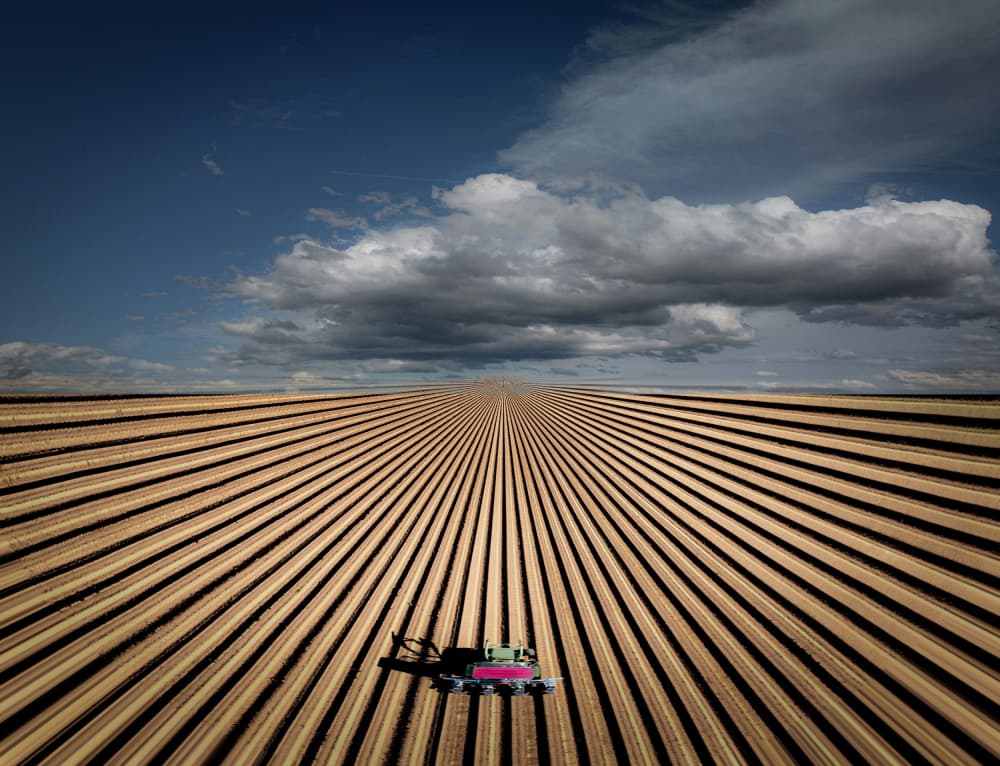Linear Farmscape by Stephan Rückert — canvas wall art