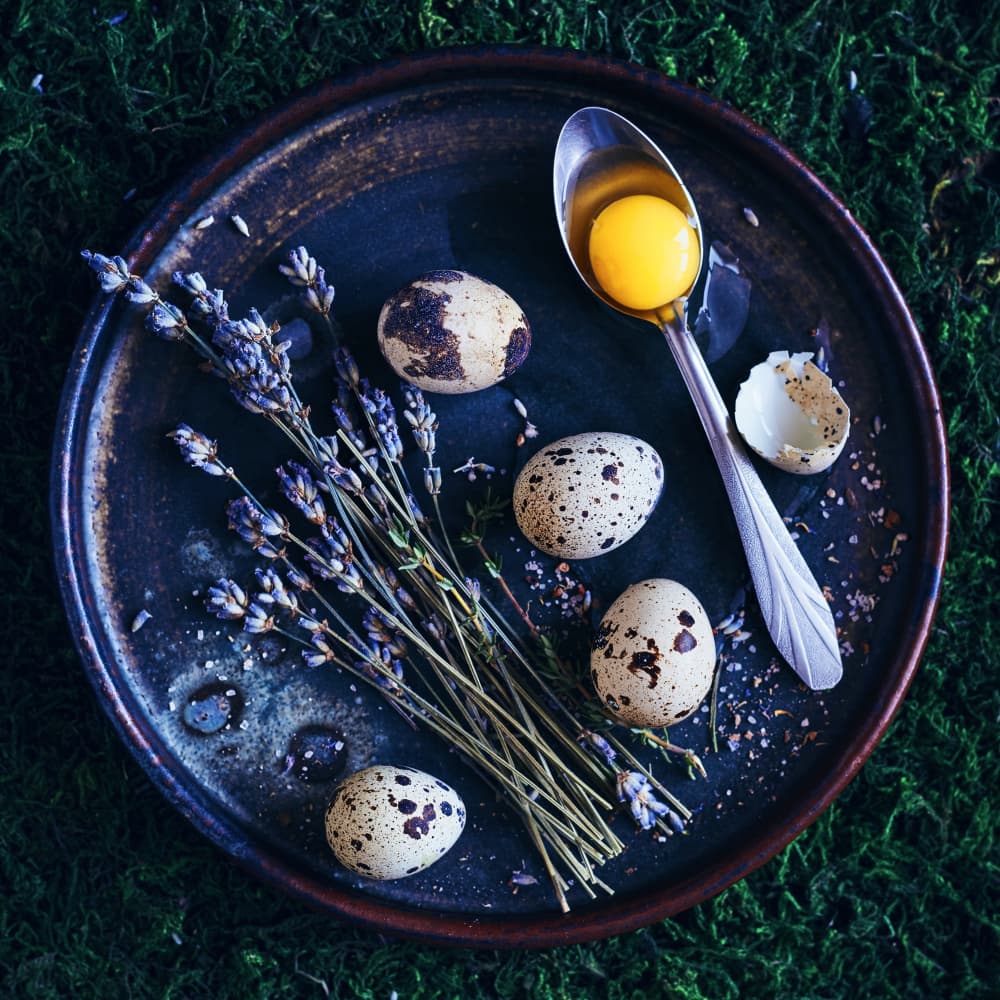 Quail Eggs Lavender Still Life by Karina Aleksandrova — canvas wall art