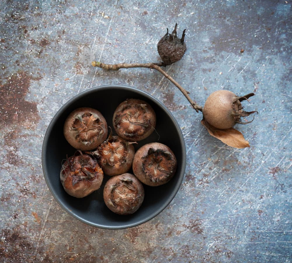 Rustic Medlars Still Life by FranzStaab — canvas wall art