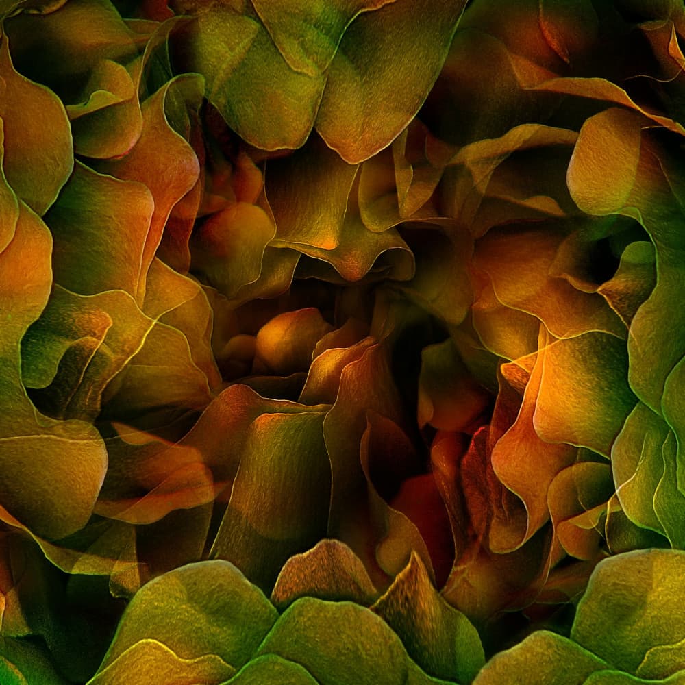 Lush Organic Flow by Ludmila Shumilova — canvas wall art