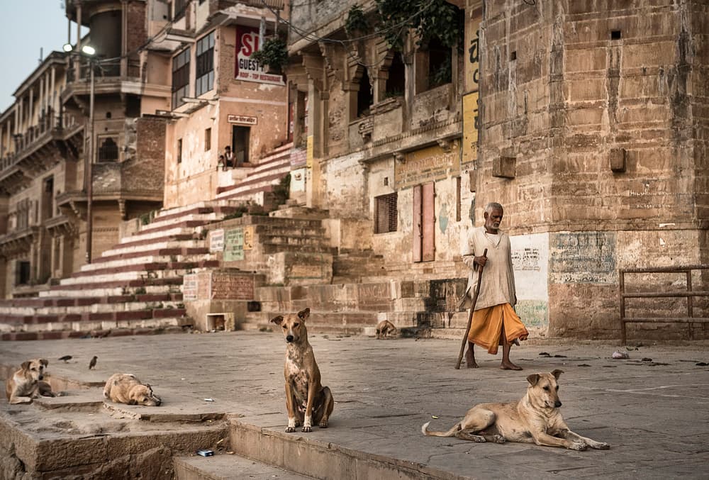 Varanasi Man and Dogs by Andrei Nicolas - The Traveler — canvas wall art