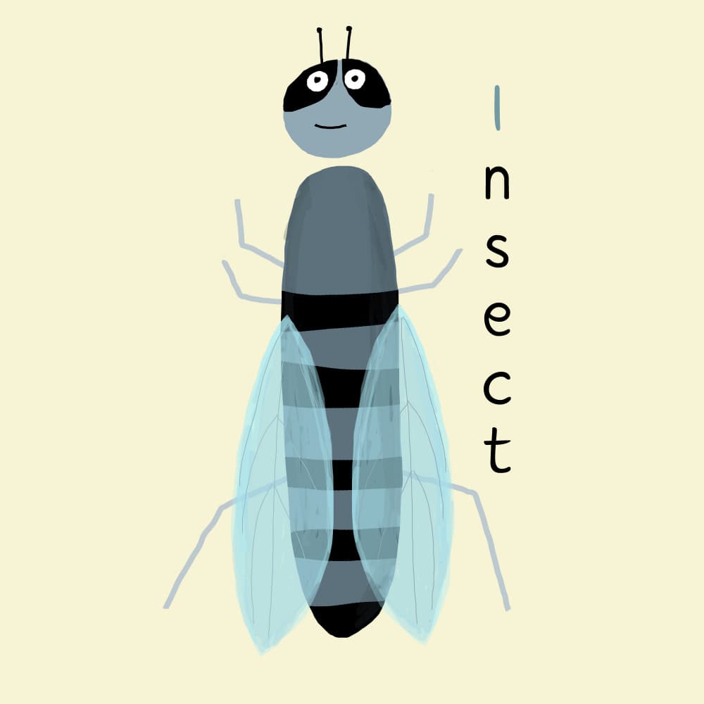 Happy Cartoon Insect by Carla Daly — canvas wall art