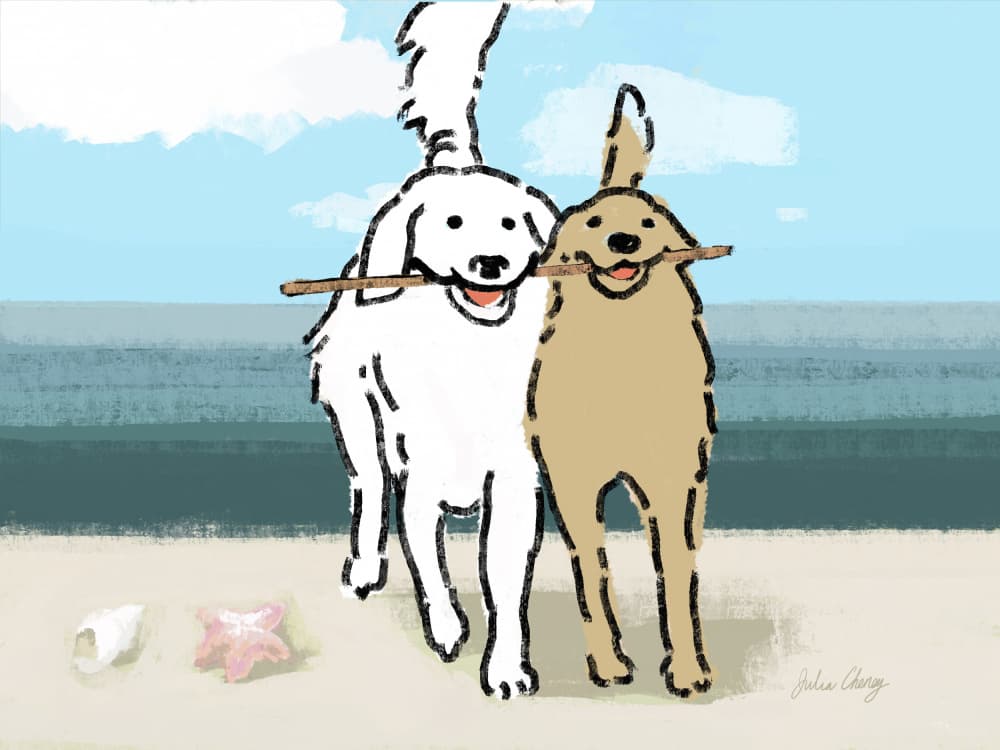 2 Dogs On the Beach Julia Cheney by Julia Cheney — canvas wall art