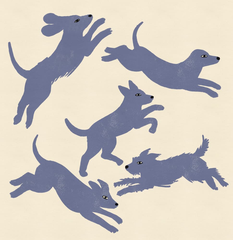 Playful Blue Dogs by Nicholas — canvas wall art