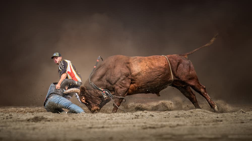 Rodeo Bull Action by Leeian Dai — canvas wall art