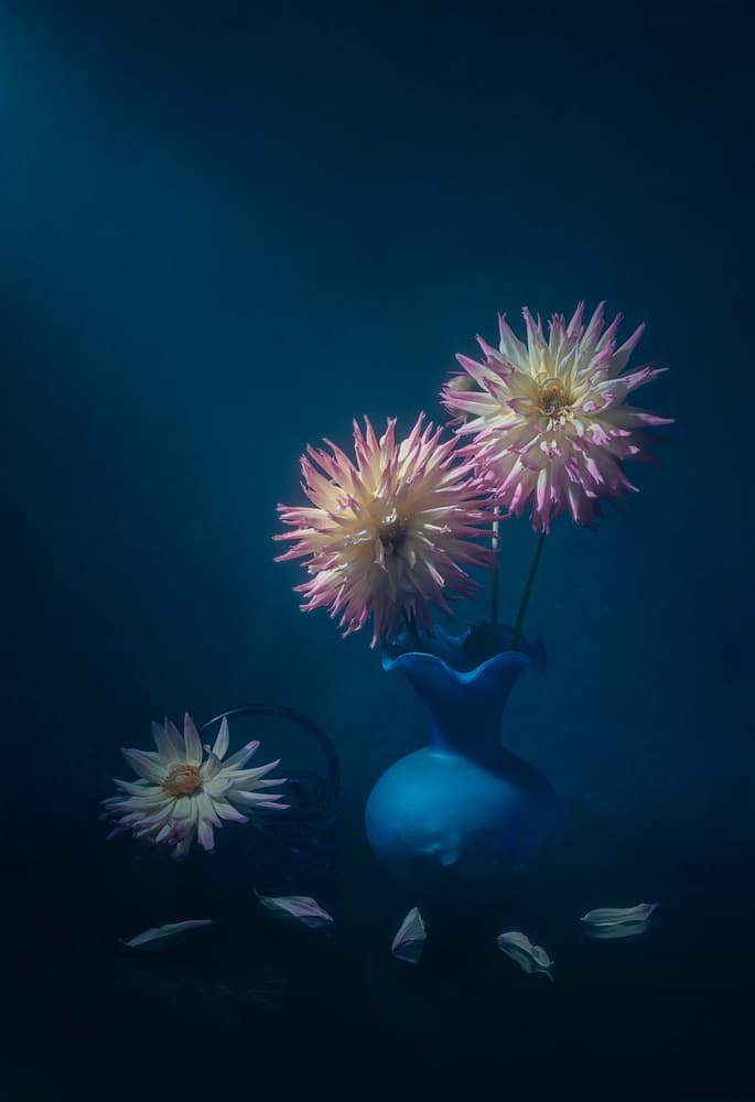 Dahlias In Blue Vase by Lydia Jacobs — canvas wall art