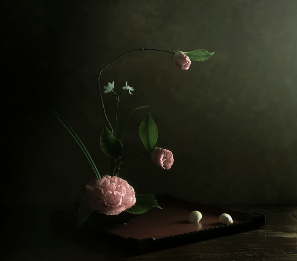 Pink Camellia Ikebana by Judy Tseng — canvas wall art