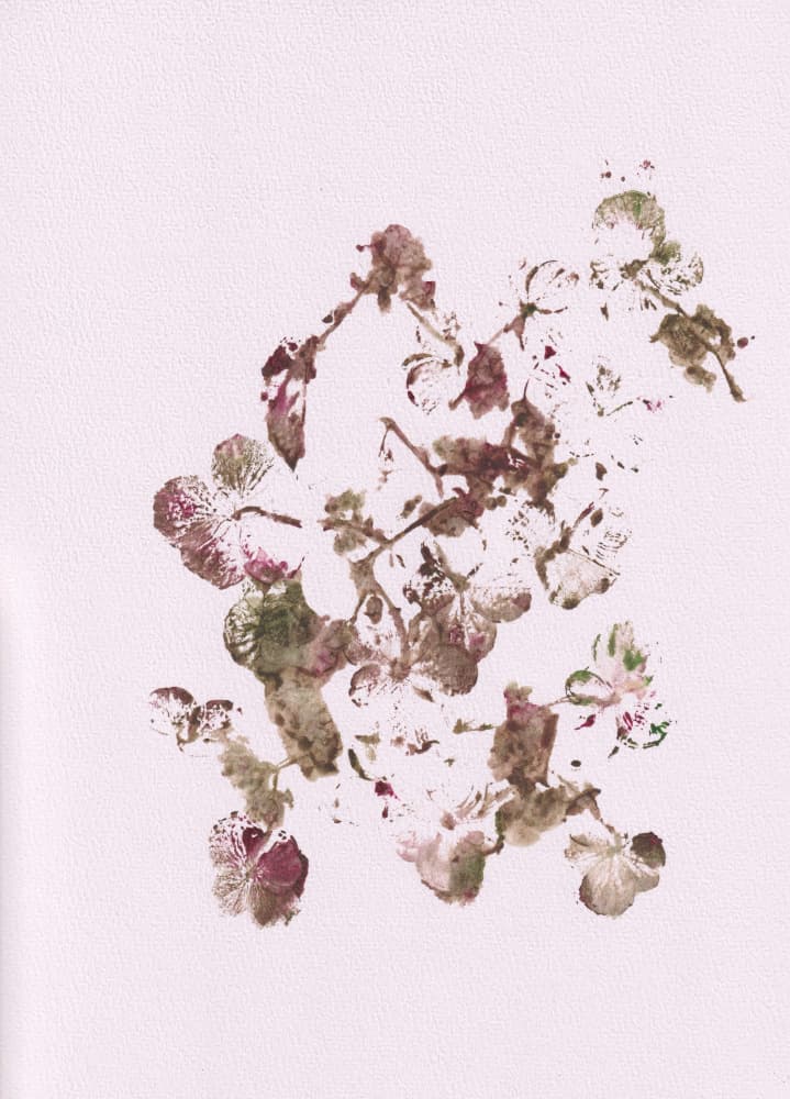 Muted Botanical Impressions by Maira Ribena — canvas wall art