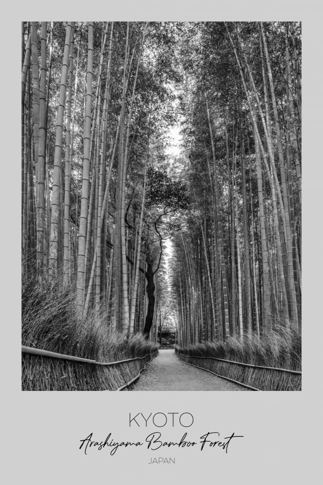 Arashiyama Bamboo Forest by Melanie Viola — canvas wall art