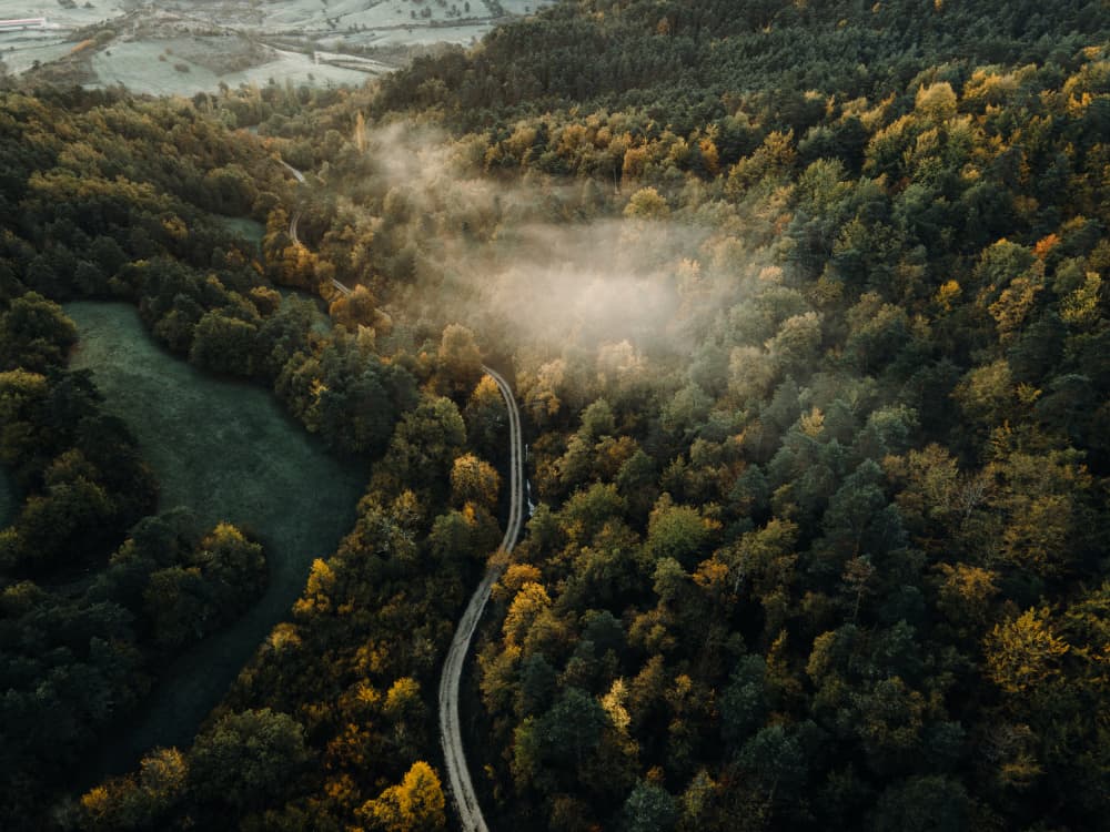 Winding Road Through Mist by Javier Pardina — canvas wall art