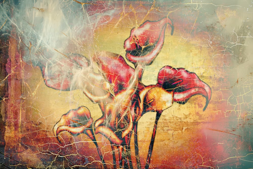 Glowing Calla Lilies by Rafal Kulik — canvas wall art