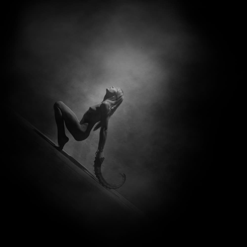 Graceful Creature Transformation by Yaroslav Vasiliev-Apostol — canvas wall art