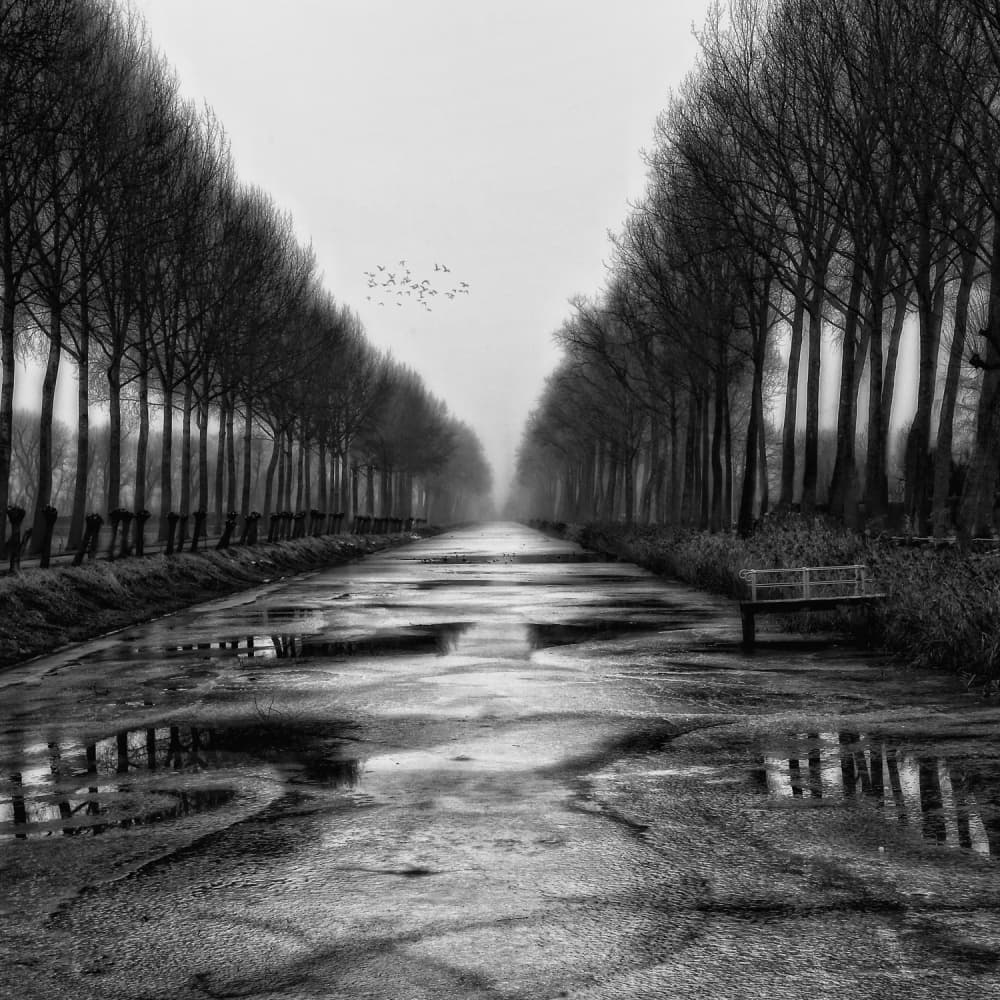 Autumn's soul by Yvette Depaepe — canvas wall art