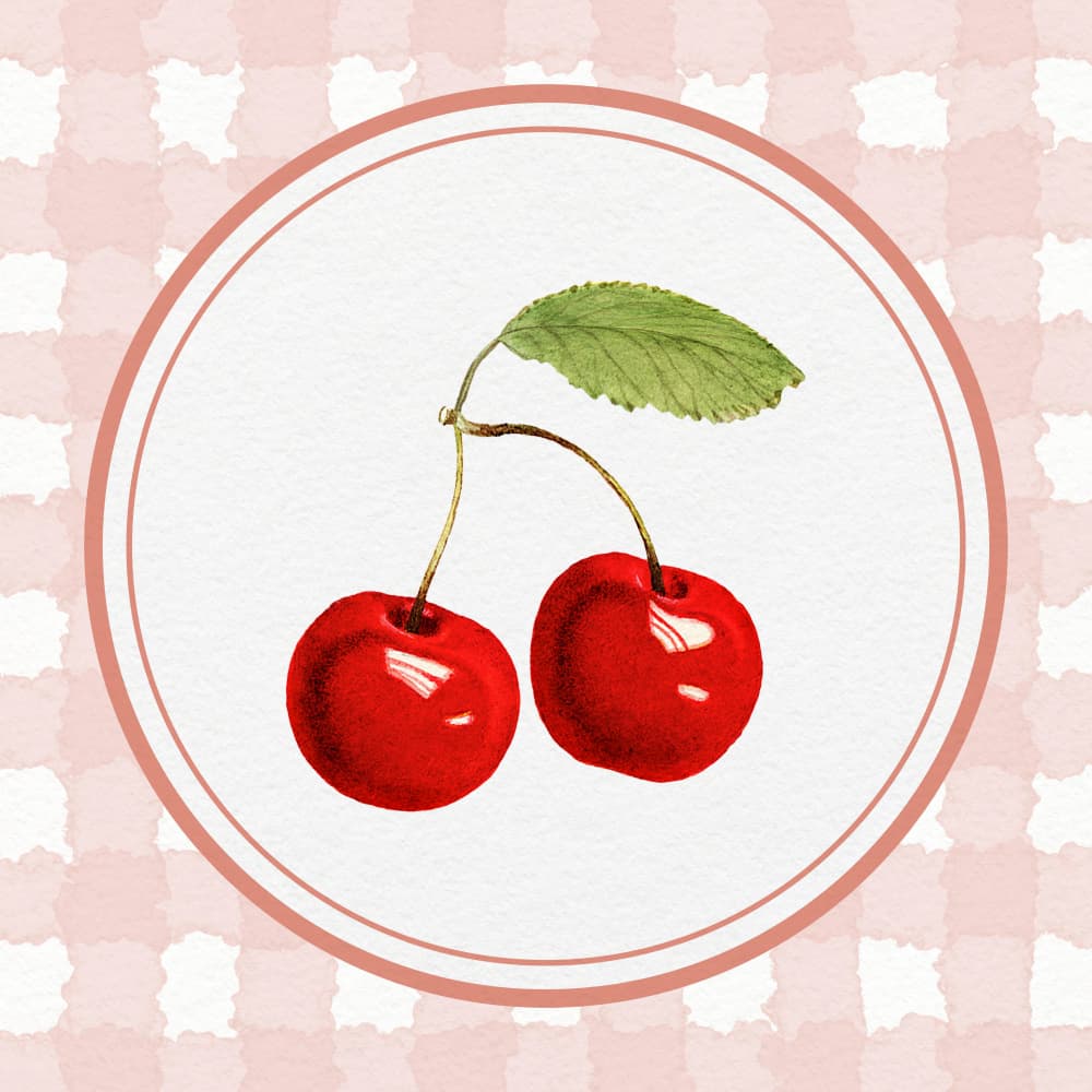 Gingham Cherry Sweetness by Wild Violets — canvas wall art